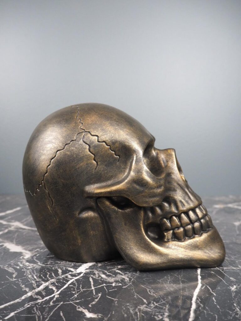 Skull - Image 2