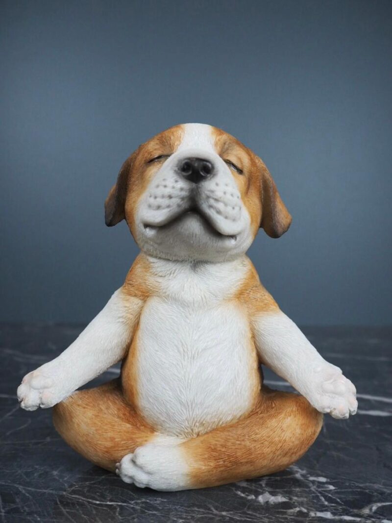 Puppy