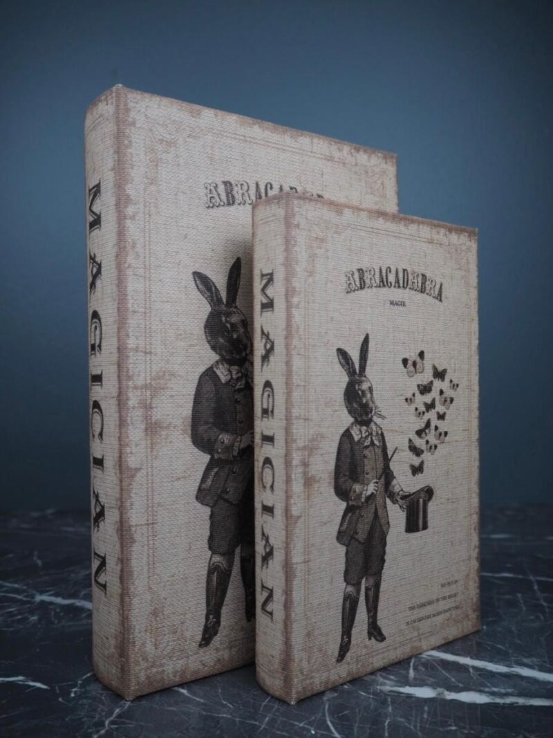 Rabbit book box  S/2