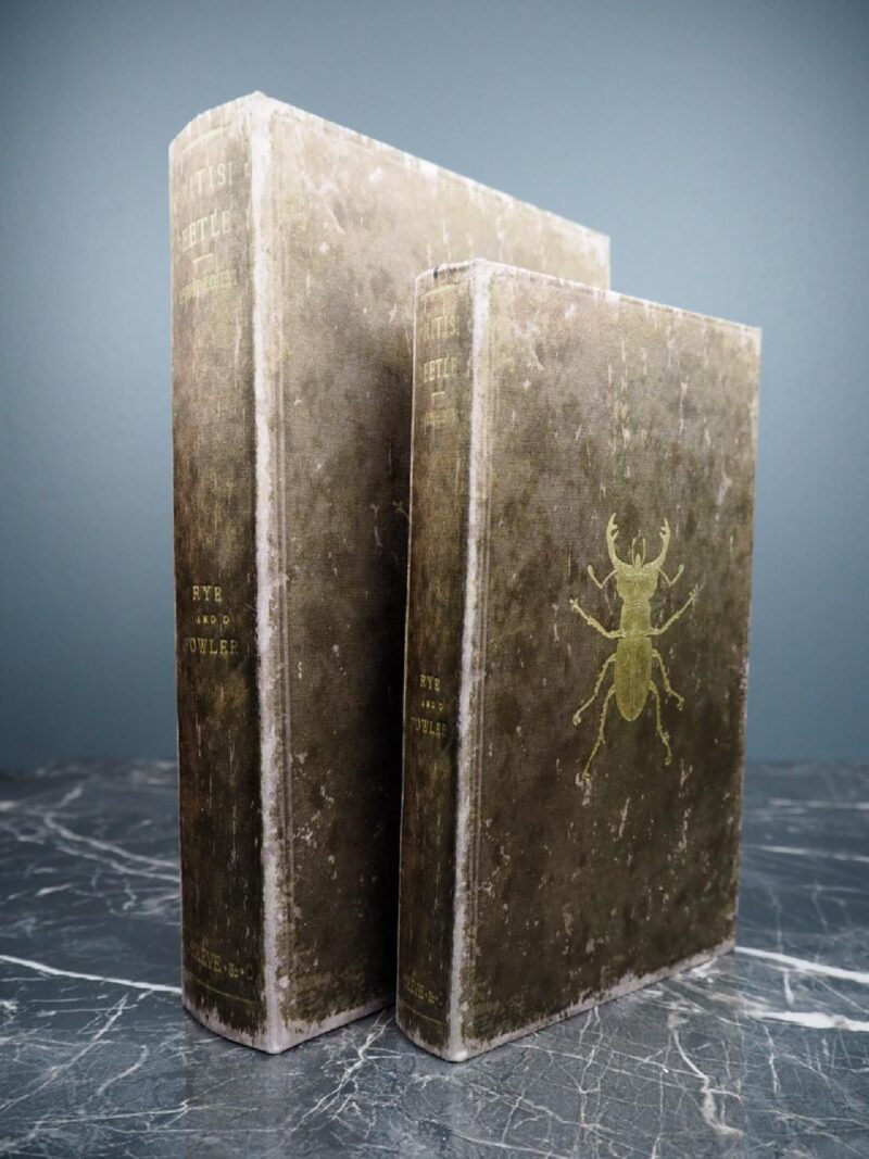 Insect book box green S/2