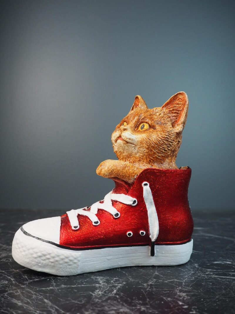 Cat  red sneakers