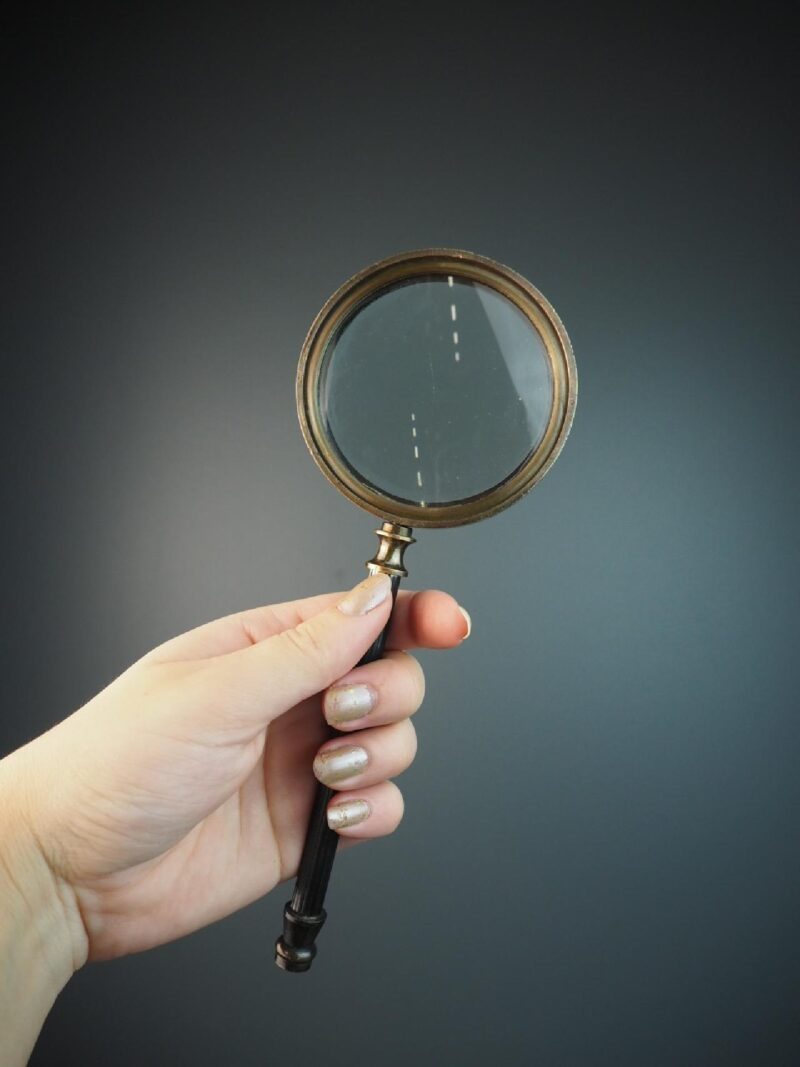 Magnify w/ case