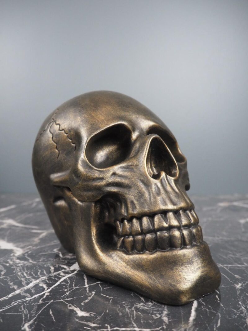 Skull