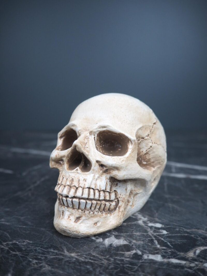 Resin skull decoration