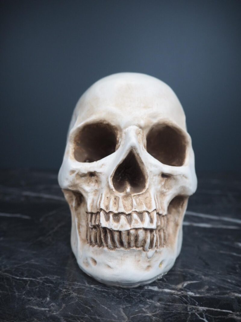 Resin skull decoration