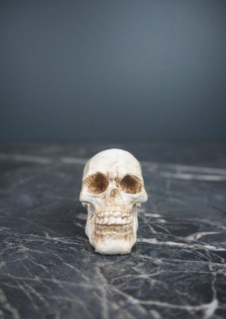 Resin skull decoration
