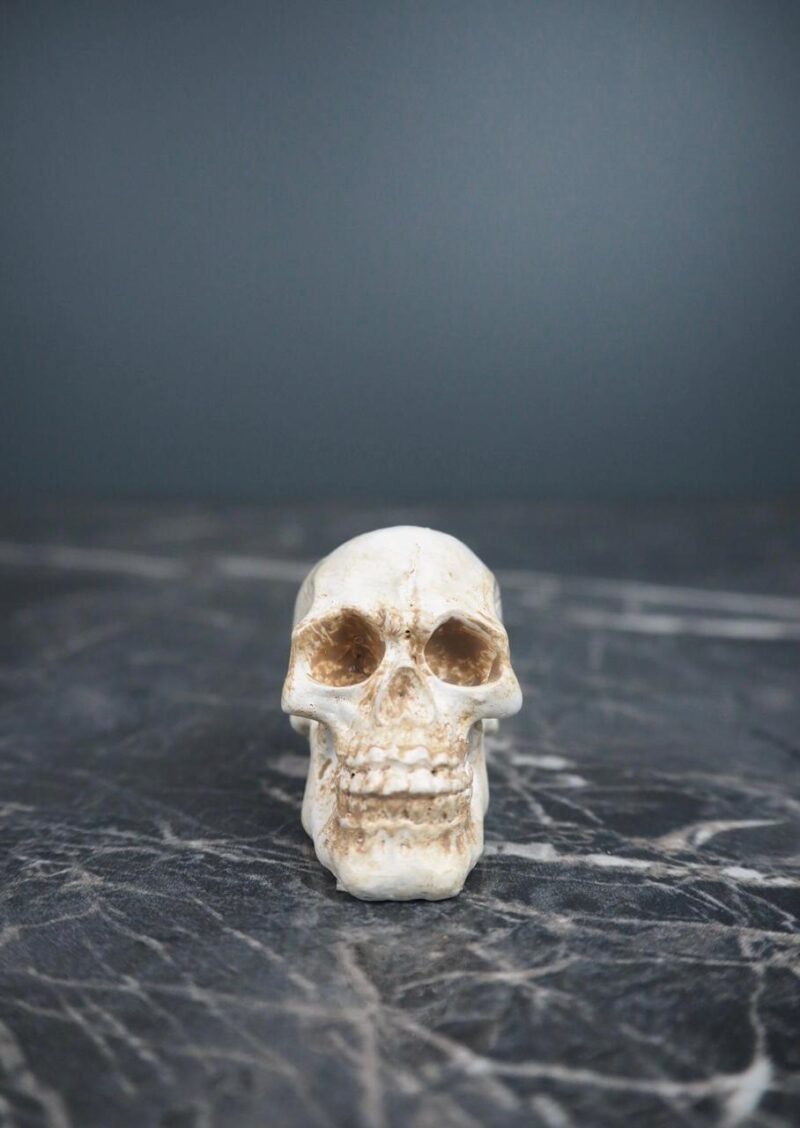 Resin skull decoration