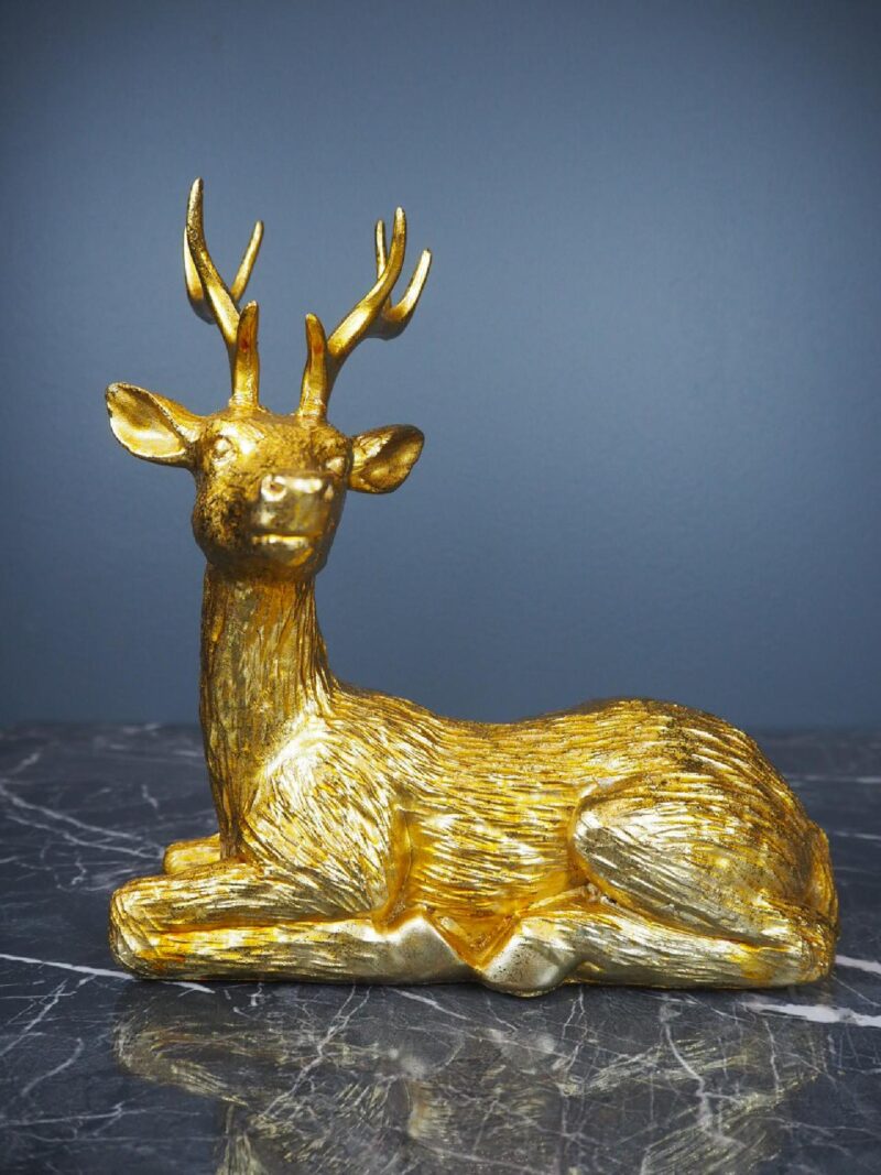 Deer lying