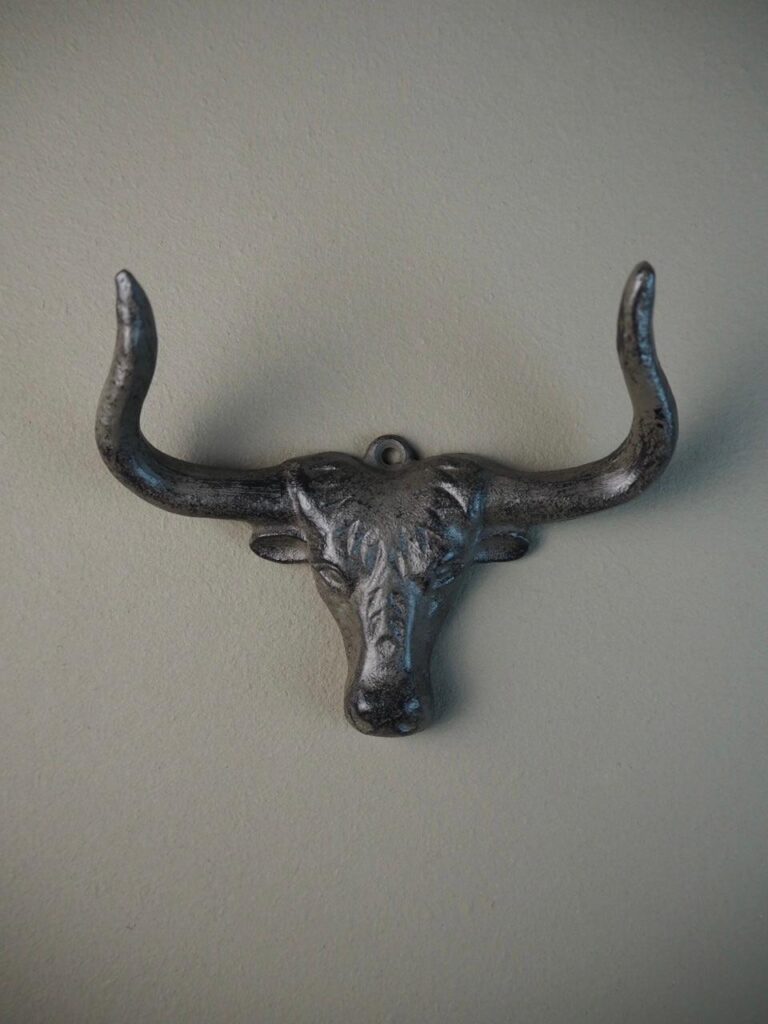 Skull hook