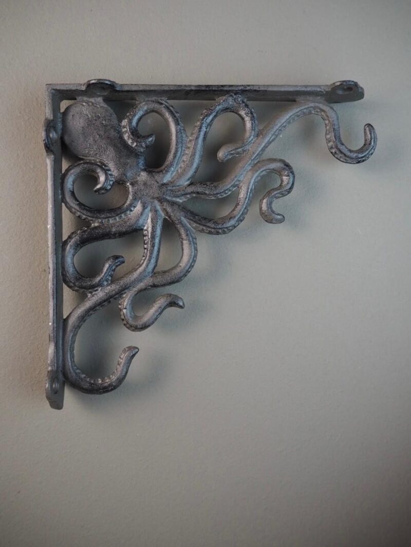 Console w octopus