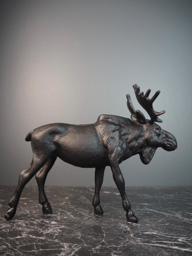 Moose