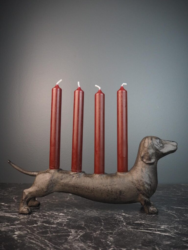 Dog w 4 candles