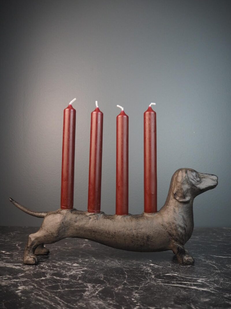 Dog w 4 candles