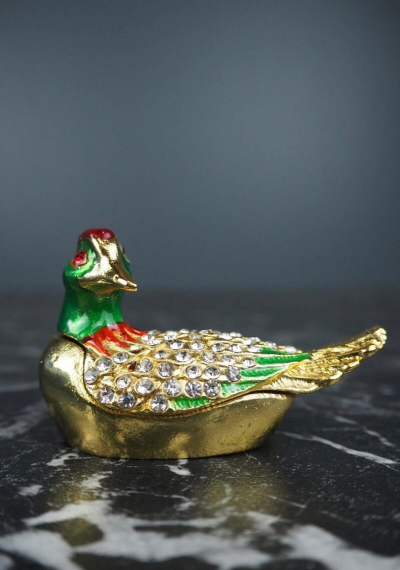 Duck