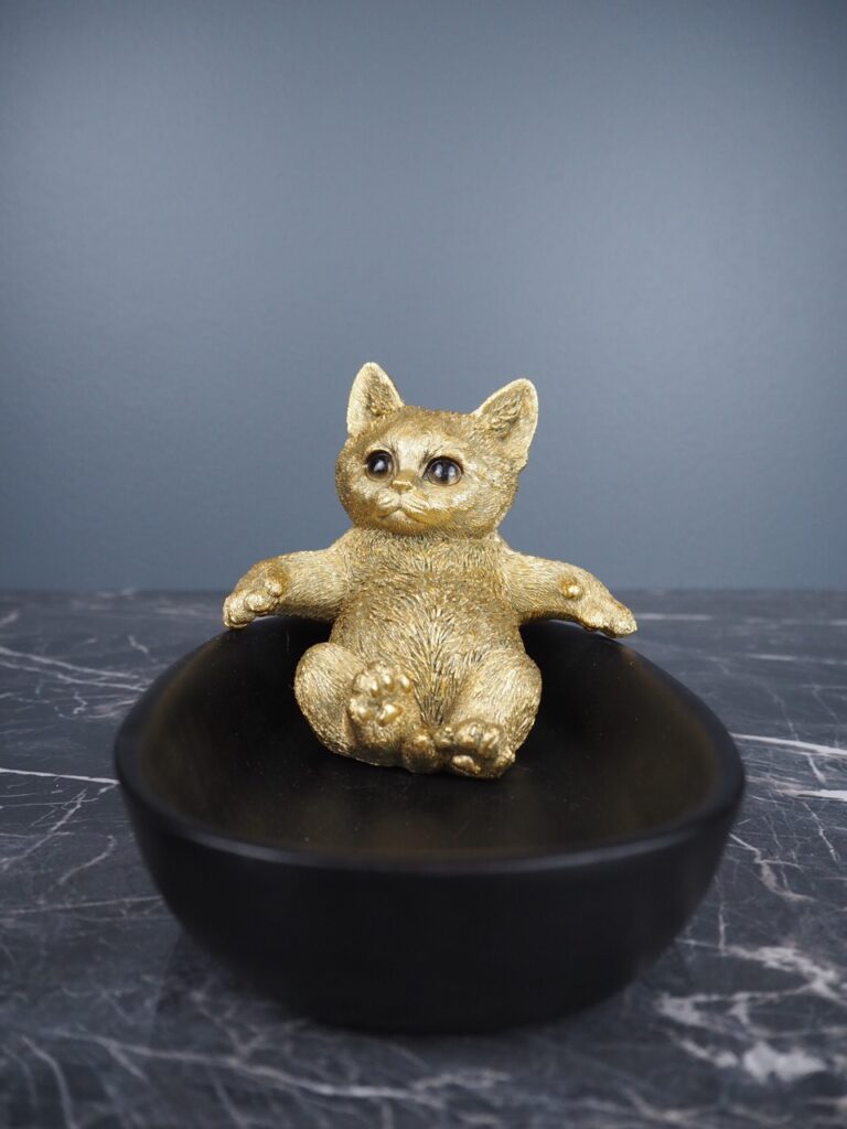 Cat - Image 3