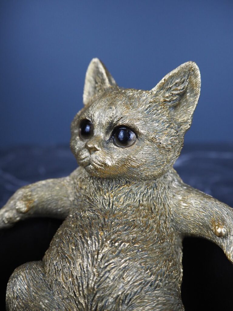 Cat - Image 2