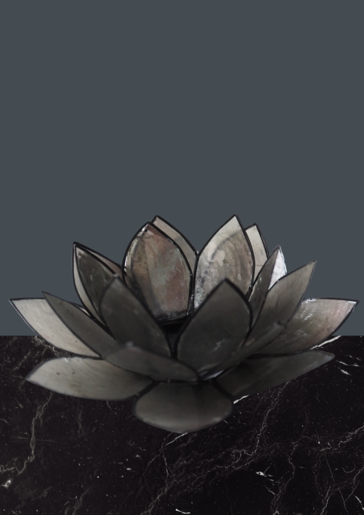 Ash grey nordic black plated