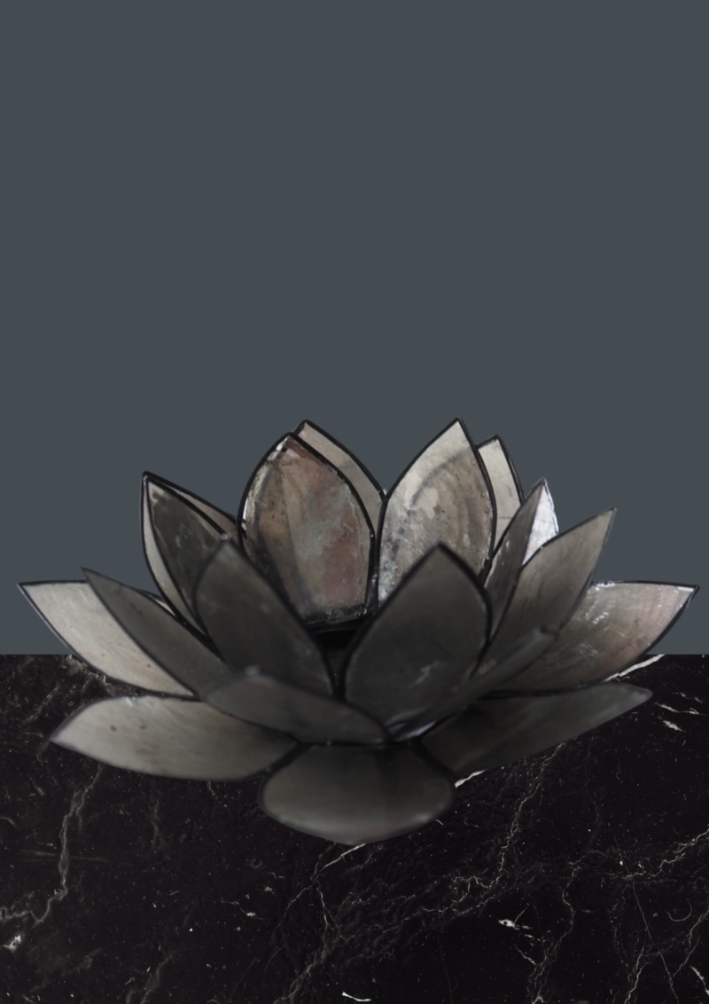 Ash grey nordic black plated