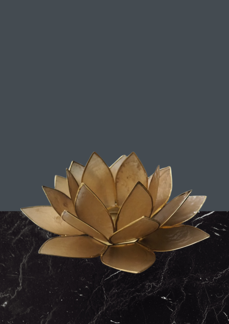 Driftwood  lotus