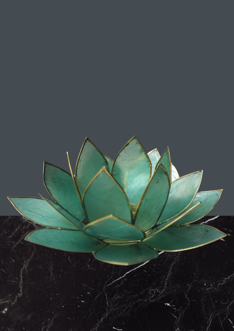 Fjord lotus