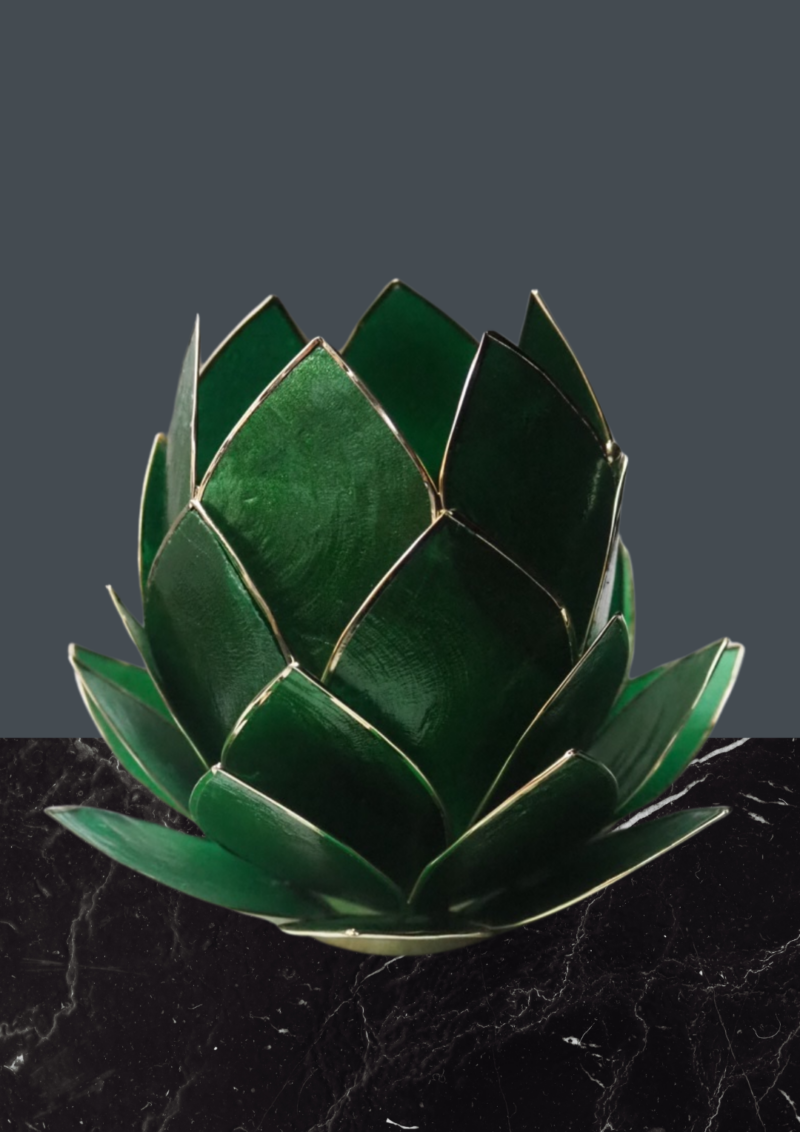 Fjord lotus