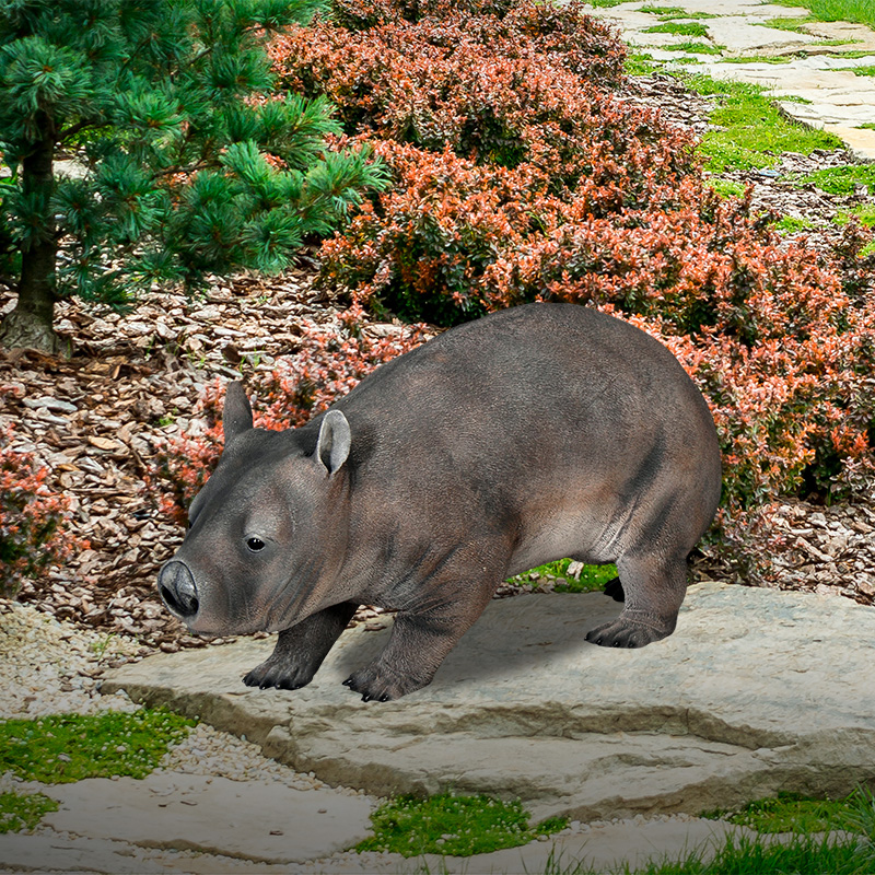 Hairy Nosed Wombat