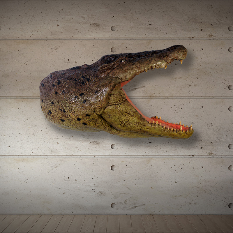 Crocodile Head Wall Plaque