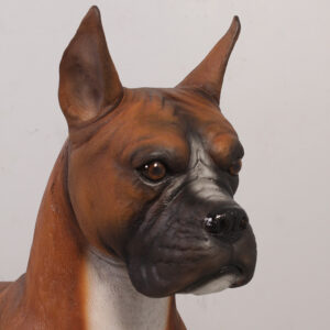 Boxer