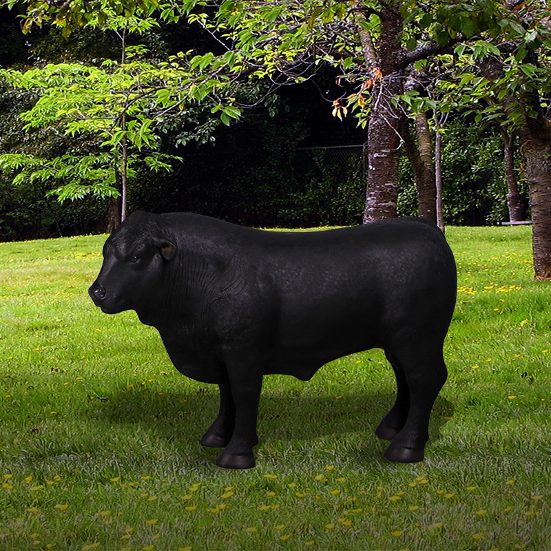 Definitive Angus Looking Left Black