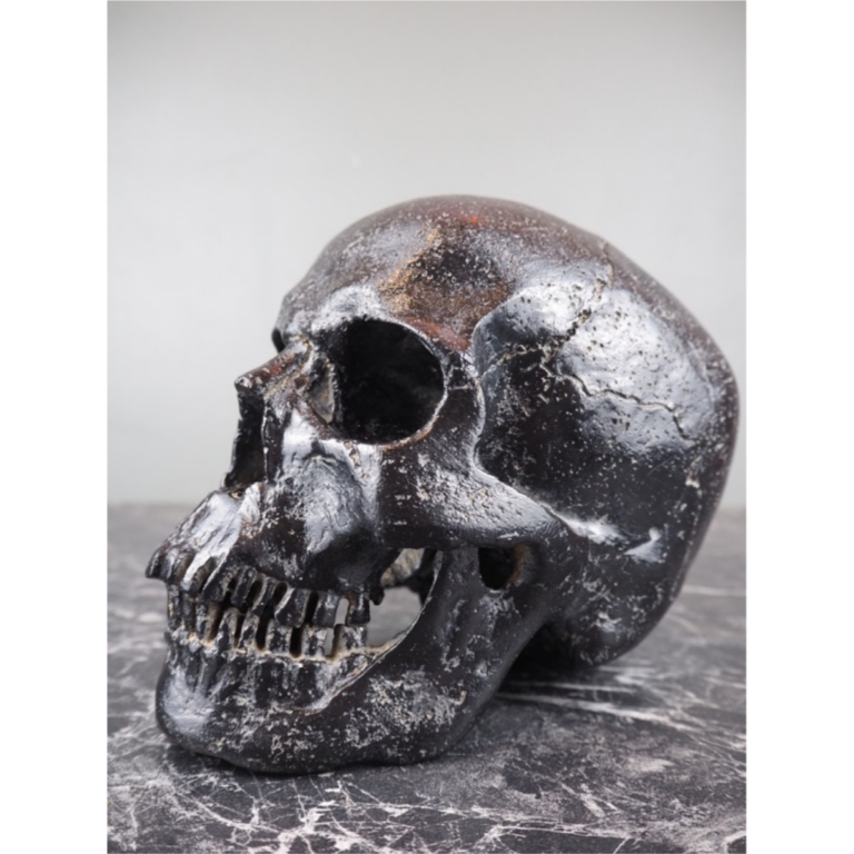 Human Skull aged black stone - Image 2
