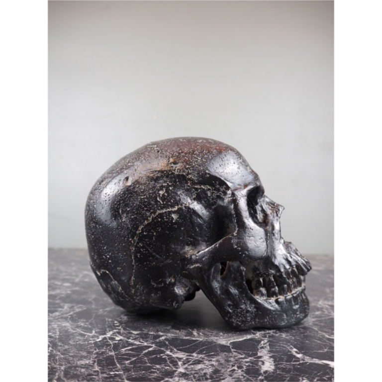 Human Skull aged black stone - Image 3