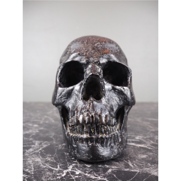 Human Skull aged black stone - Image 4