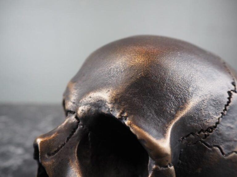Human Skull imperial bronze - Image 3