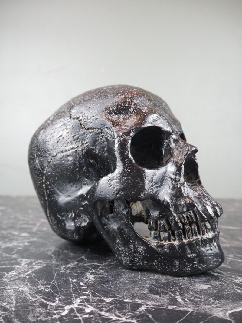 Human Skull aged black stone