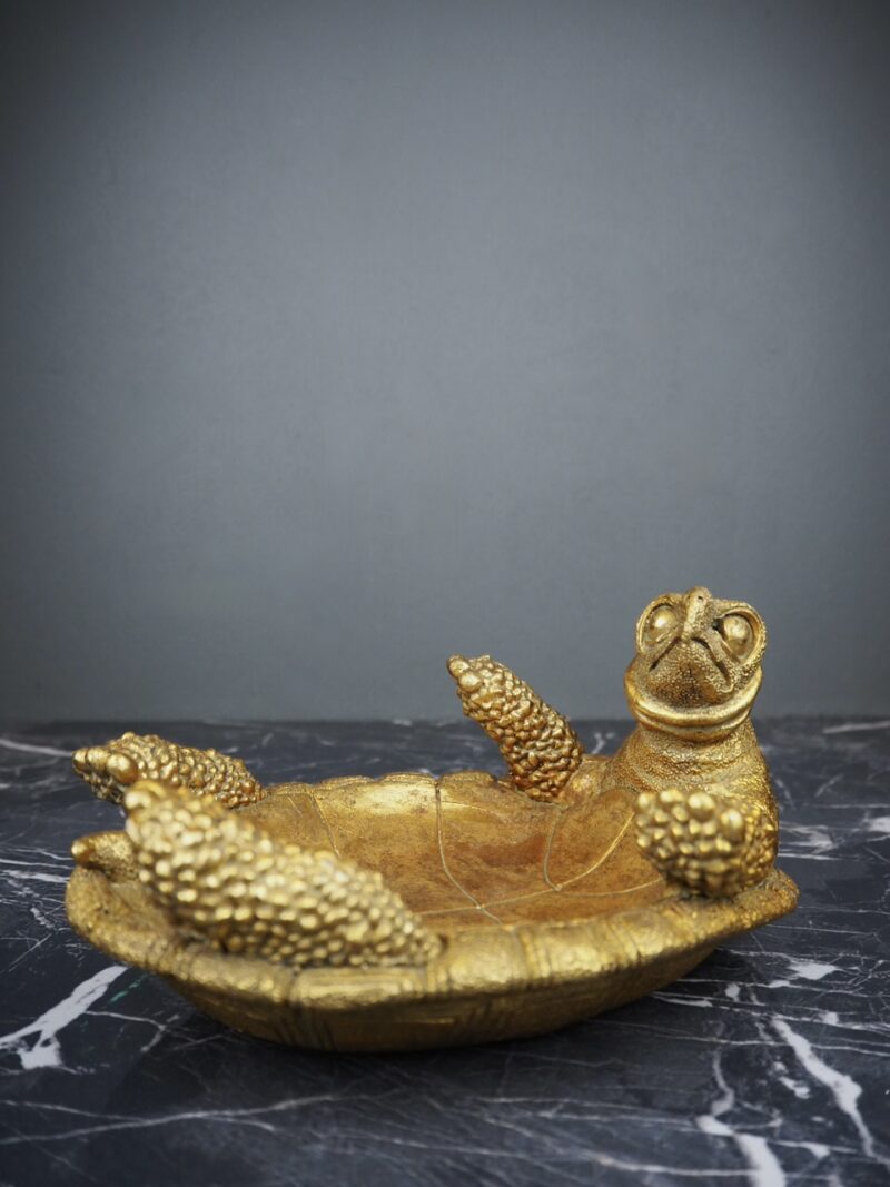 Todd the turtle tray