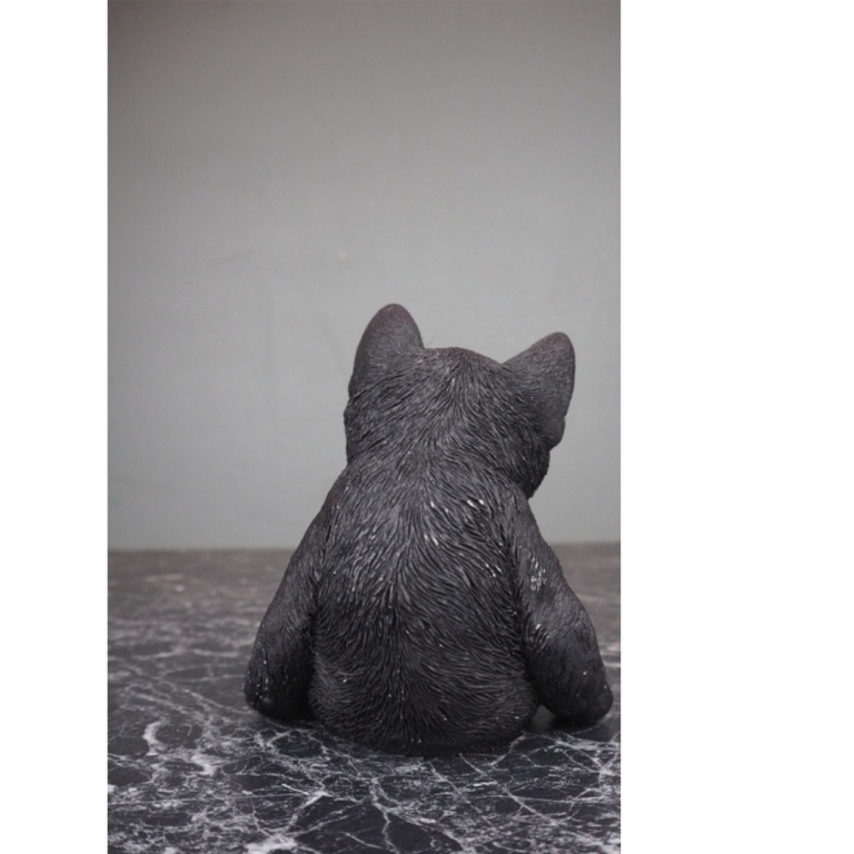 Cat matte black - Image 3