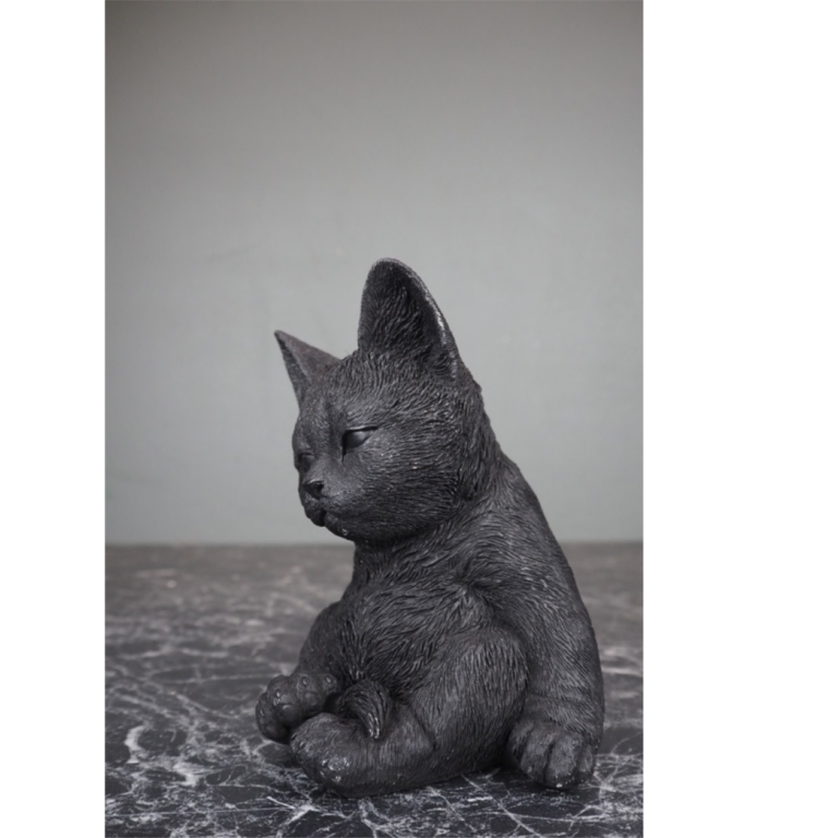 Cat matte black - Image 2