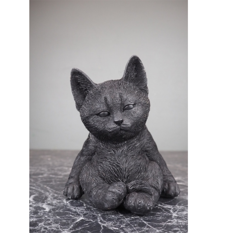 Cat matte black