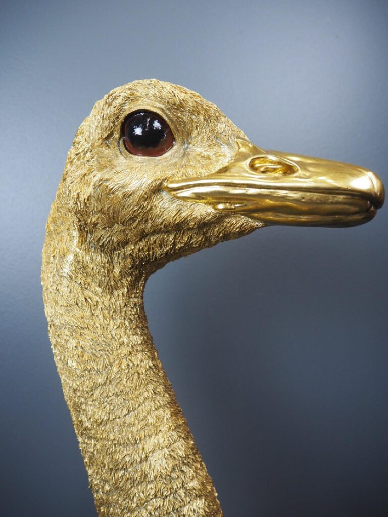 Olga ostrich - Image 2