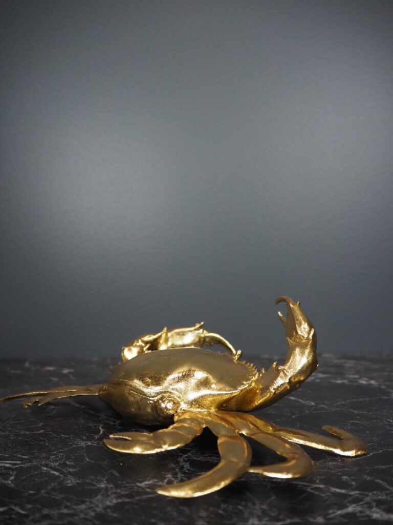 Corla the crab - Image 2