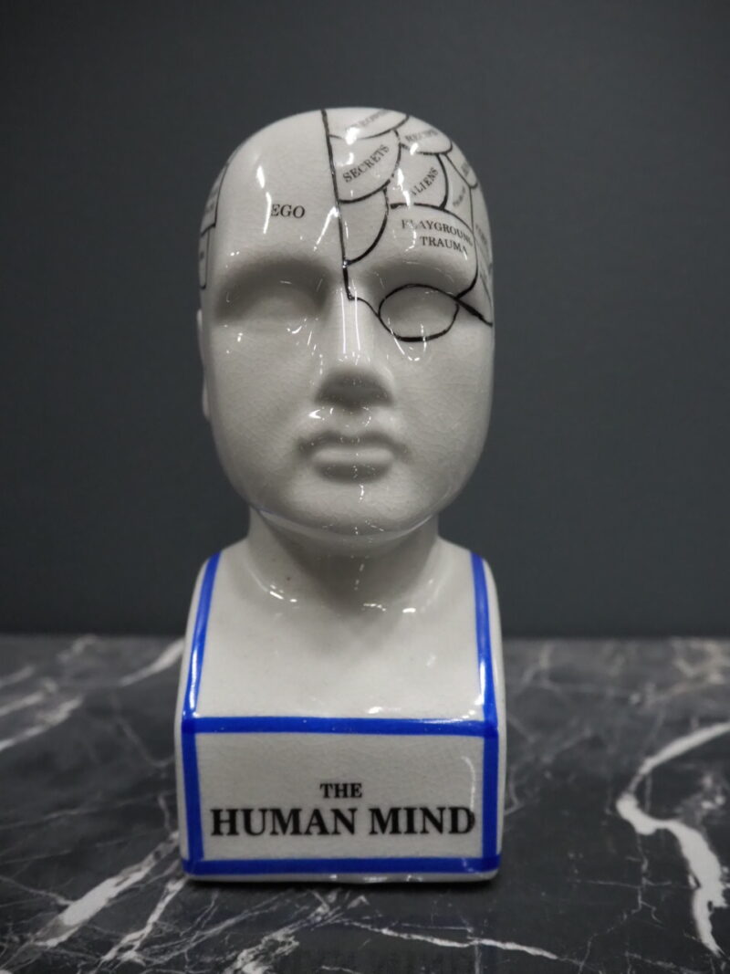 Phrenology head