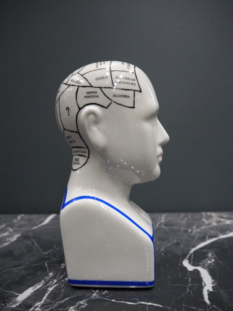 Phrenology head - Image 5