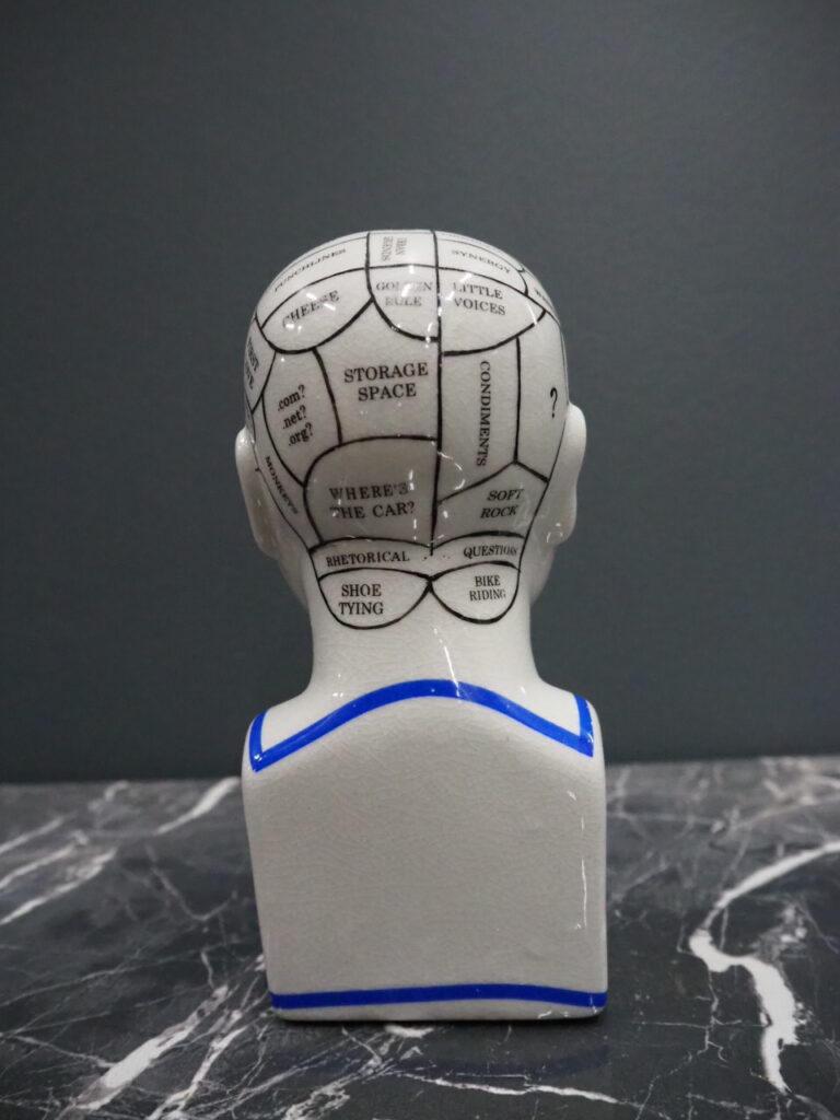 Phrenology head - Image 4
