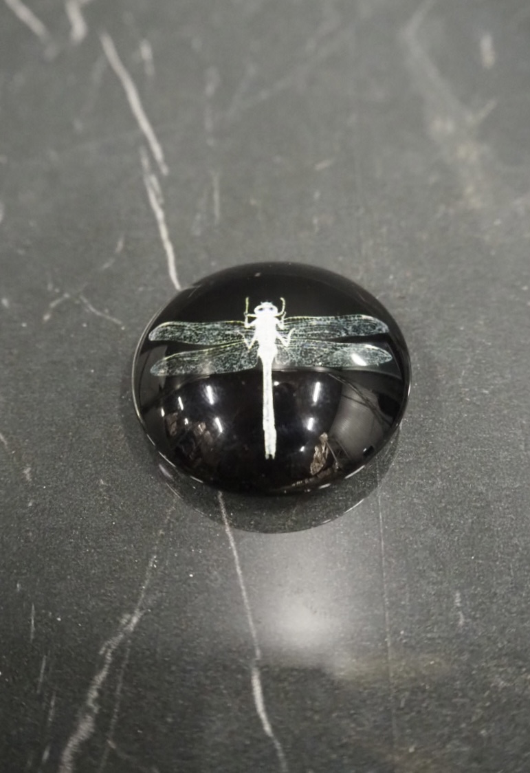 Dragonfly magnet
