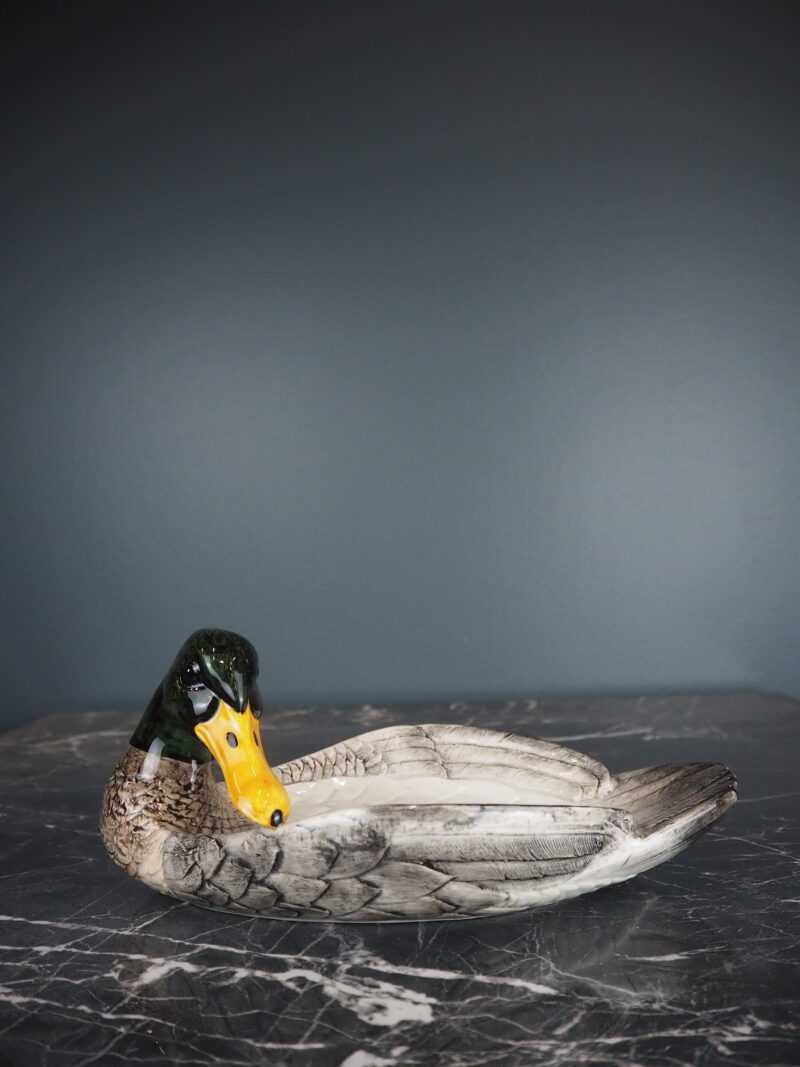 Dorothy duck plate
