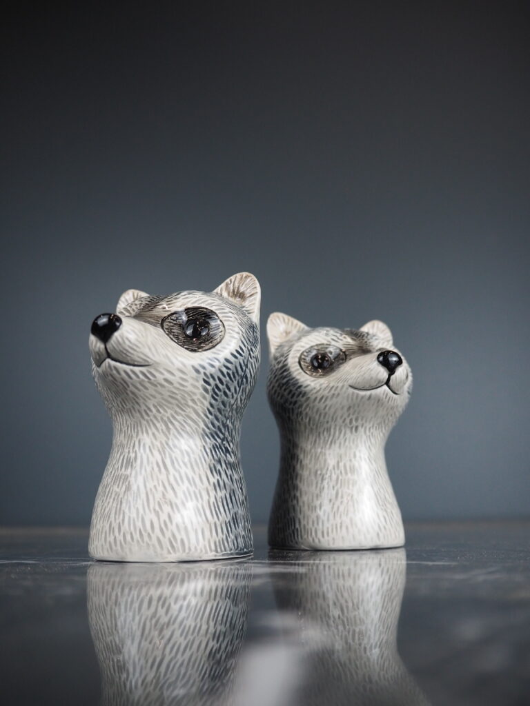 River racoon S&P