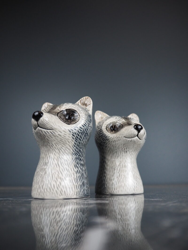 River racoon S&P