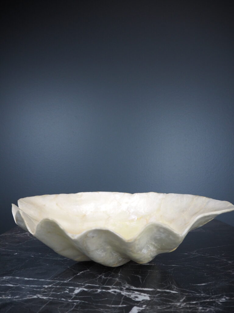 Capiz clam S