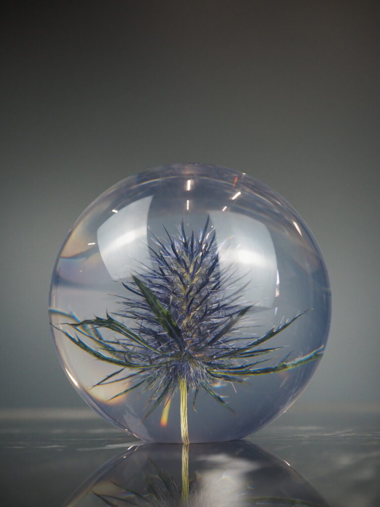 Eryngo paper weight 8 cm - Image 2