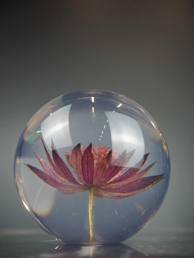 Astrantia paper weight 8 cm - Image 2